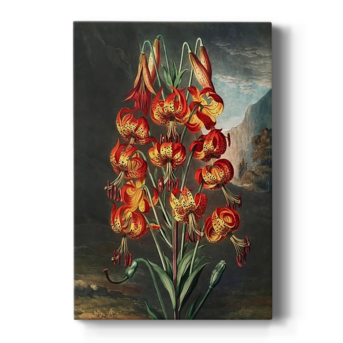 Temple of Flora III Premium Gallery Wrapped Canvas - Ready to Hang
