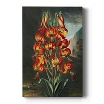 Temple of Flora III Premium Gallery Wrapped Canvas - Ready to Hang