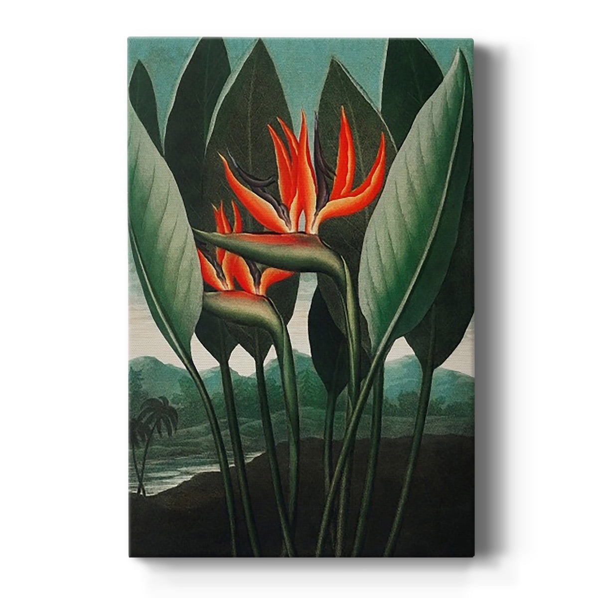 Temple of Flora IV Premium Gallery Wrapped Canvas - Ready to Hang