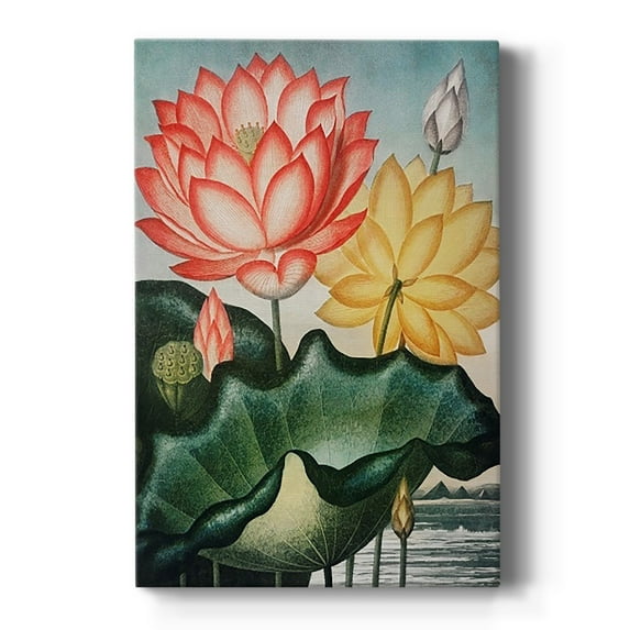 Temple of Flora V Premium Gallery Wrapped Canvas - Ready to Hang