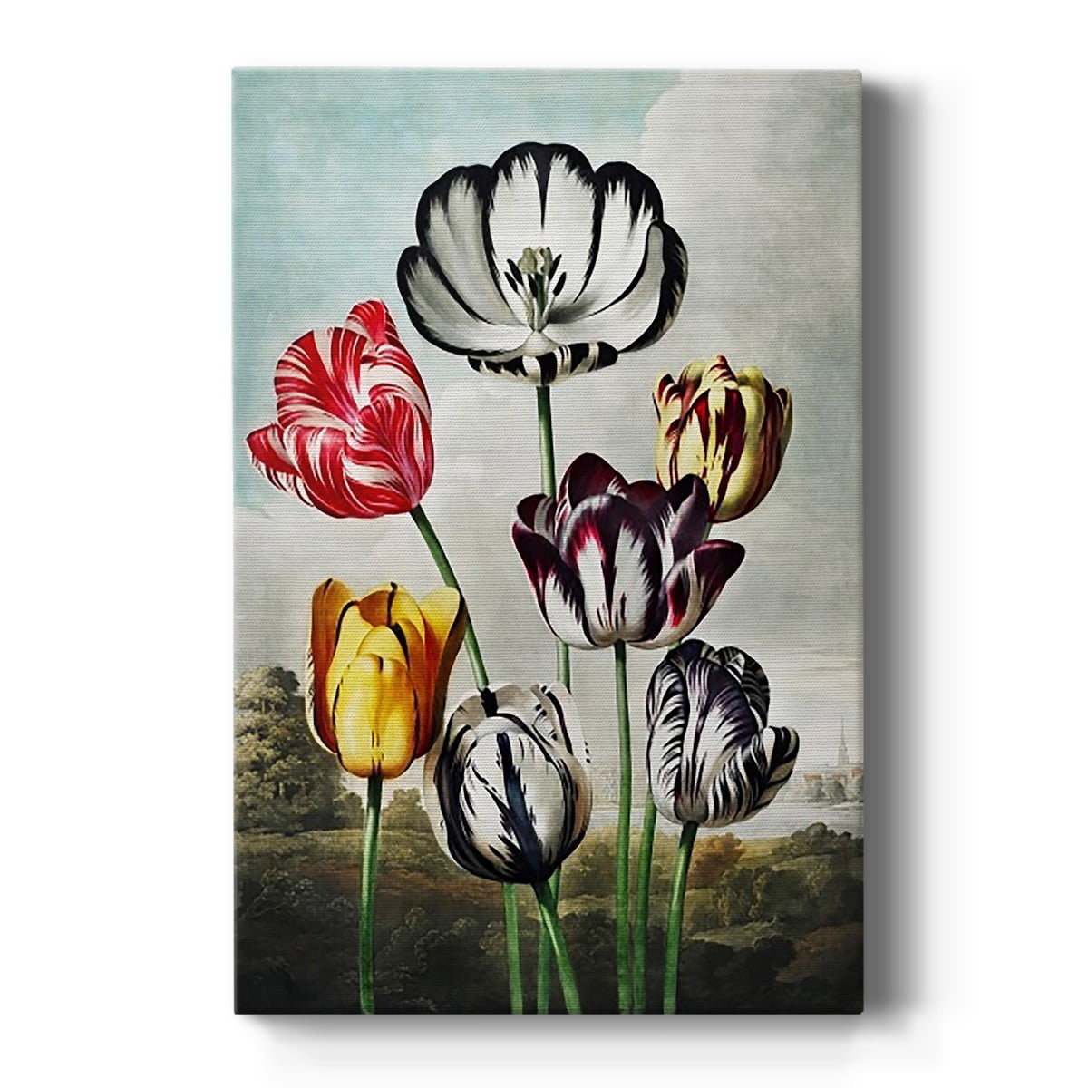 Temple of Flora VI Premium Gallery Wrapped Canvas - Ready to Hang
