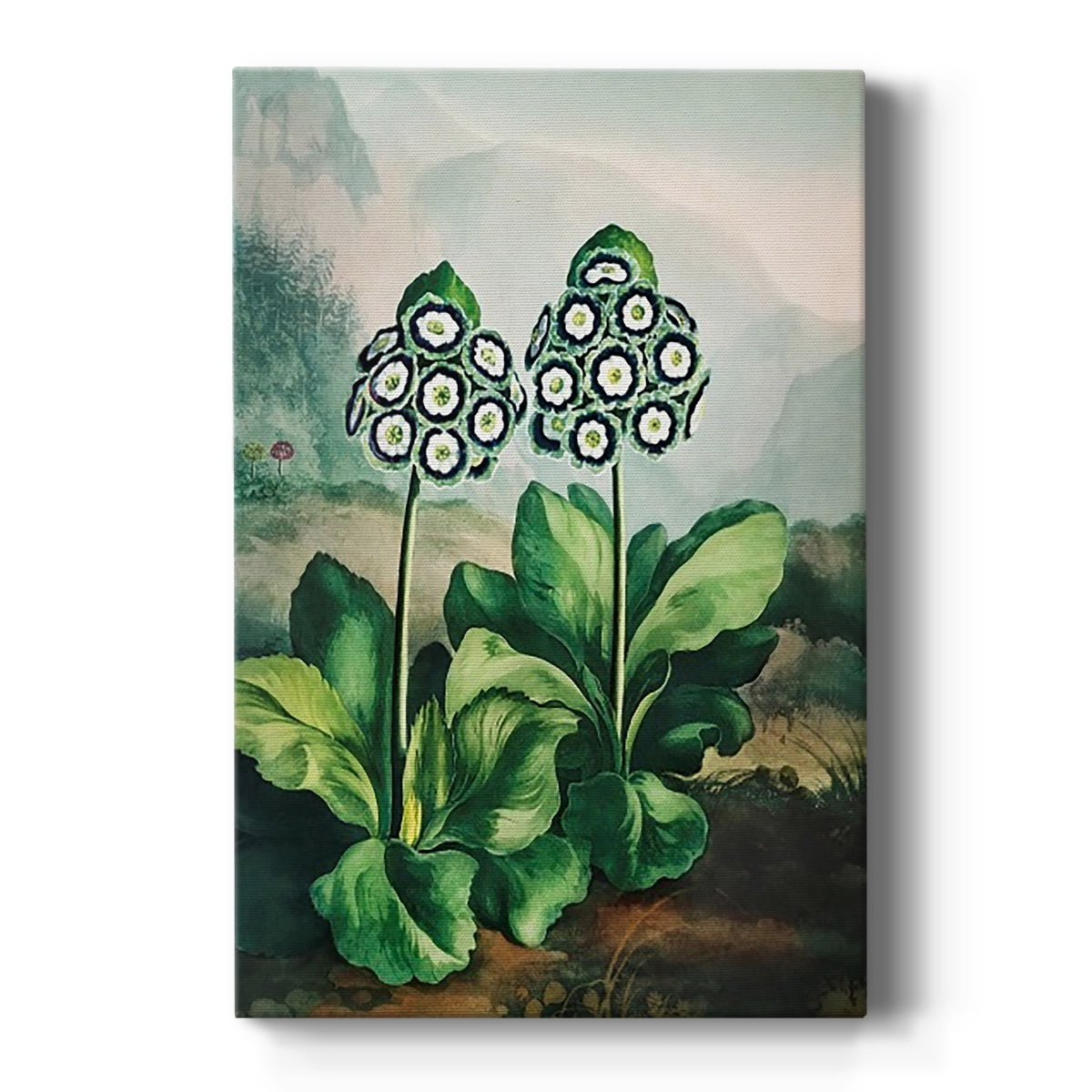 Temple of Flora XI Premium Gallery Wrapped Canvas - Ready to Hang