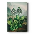 thumbnail image 1 of Temple of Flora XI Premium Gallery Wrapped Canvas - Ready to Hang, 1 of 9