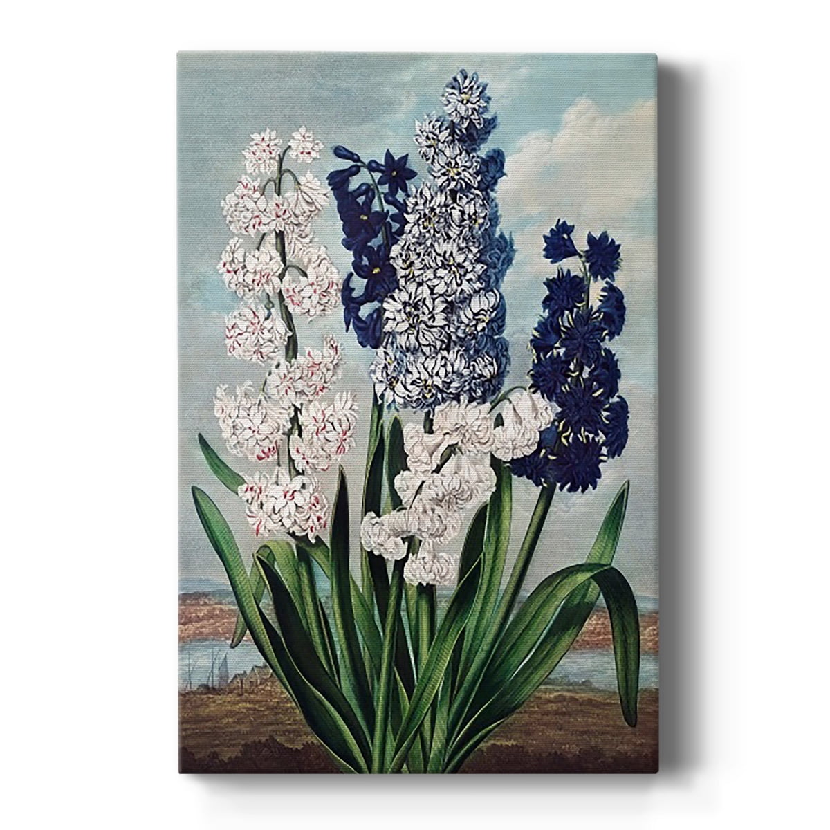 Temple of Flora XII Premium Gallery Wrapped Canvas - Ready to Hang