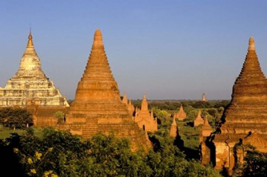 Temples of Bagan Surrounded by Trees Bagan Myanmar Canvas Art - Inger Hogstrom DanitaDelimont (35 x 24)