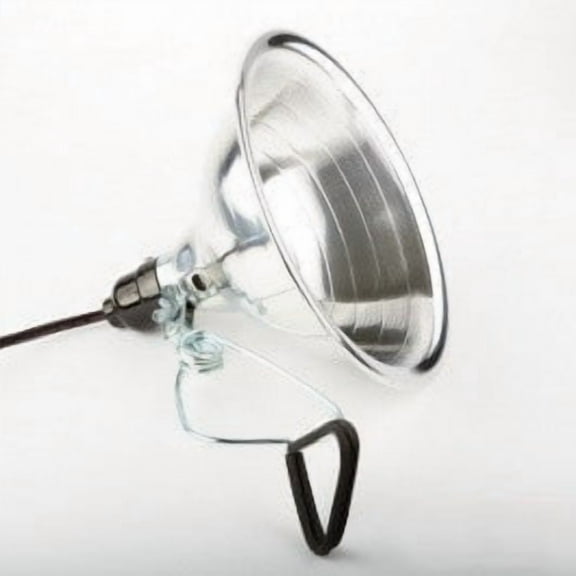 Temporary Clamp On Clampon Work Lamp Light Aluminum Shade Worklamp Fixture