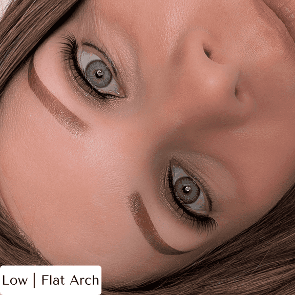 Temporary Eyebrow Tattoos | Bronde | Low Arch | Large
