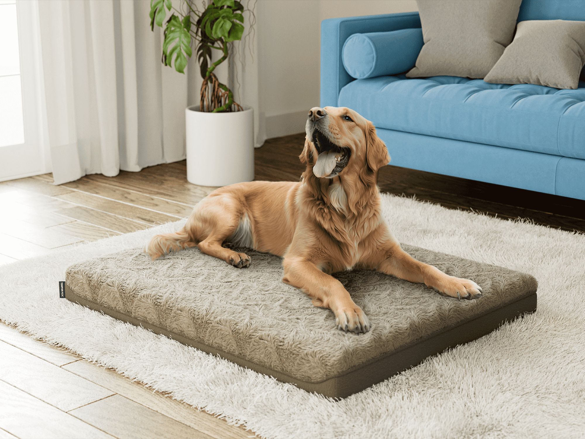 Tempur-Pedic®Pet Mattress - 40x30 - Walmart.com