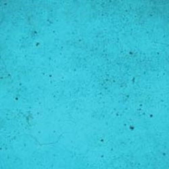 Ten Second Color (TSC) Concrete Dye Concentrate Makes 32oz. (Caribbean Blue) Professional Grade and Easy to use. Brilliant Bold Colors. Semi-Transparent Cement Dye. Dries in Seconds