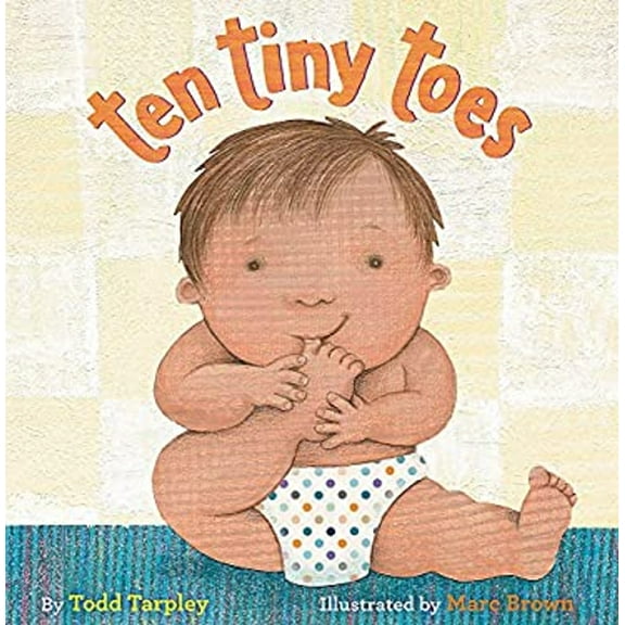 Pre-Owned Ten Tiny Toes (Board book) 0316435805 9780316435802