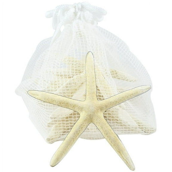 Ten White Starfish in Net Bag (Set of 10)