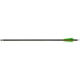 thumbnail image 1 of TenPoint Pro-V 22 Carbon Arrows, 1 of 1