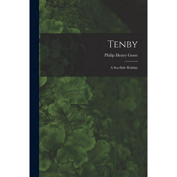Tenby: A Sea-Side Holiday (Paperback)