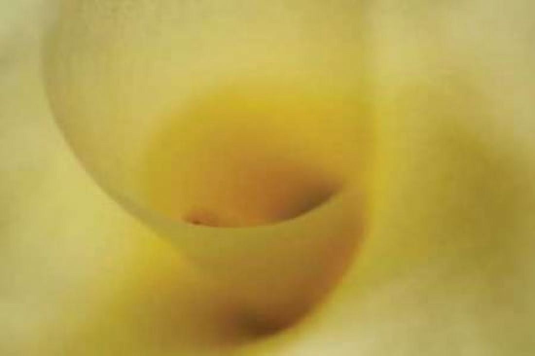 Tender Moments I Canvas Art - Vitaly Geyman (12 x 18)