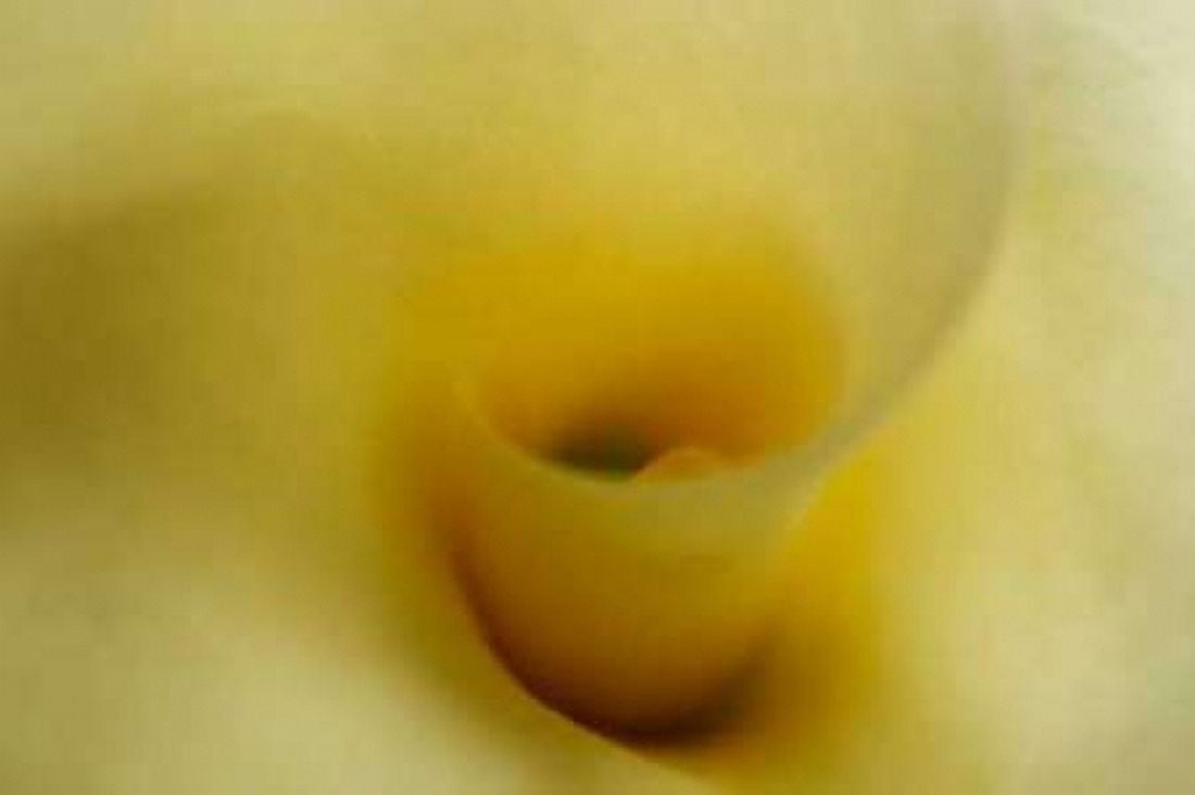 Tender Moments II Canvas Art - Vitaly Geyman (24 x 36)
