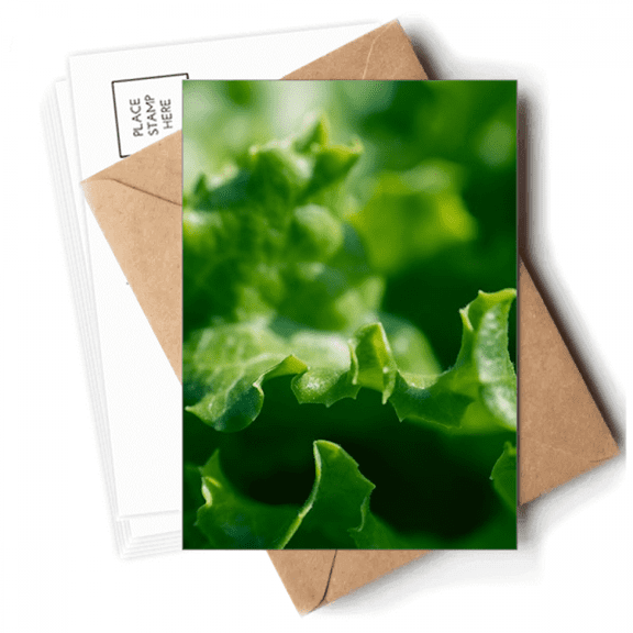Tender   Nature Photography Postcards Envelopes Blank Note Cards Mailing