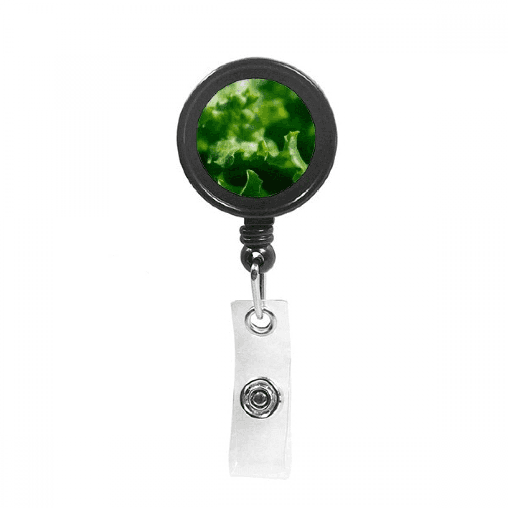 Tender   Nature Photography Retractable Keychain Badge Holder ID Badge