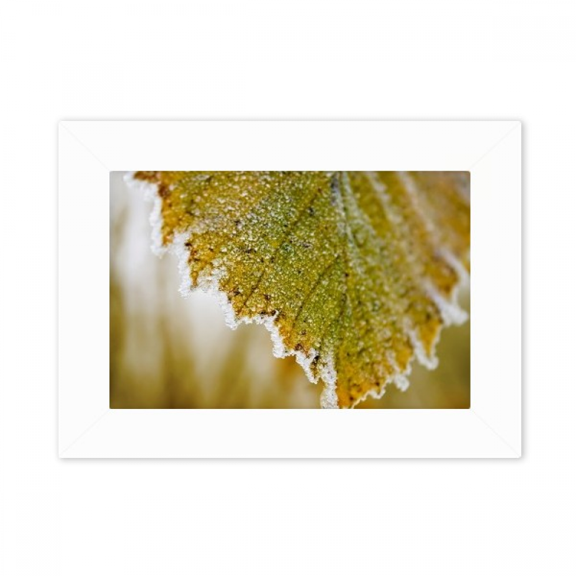 Tender Picture Nature Photo Mount Frame Picture Art Painting Desktop 5x7 inch