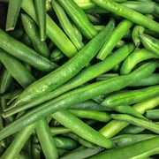 Tendergreen Bush Bean Seeds - 30 g Packet ~100 Seeds - Non-GMO, Heirloom Green Snap Bean Seeds - Vegetable Garden Seeds