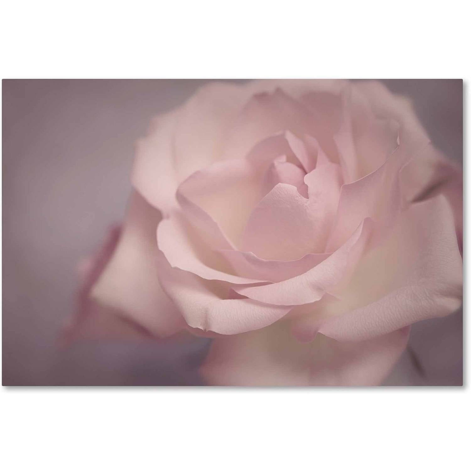 Tenderness' Canvas Art by Cora Niele
