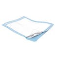 thumbnail image 1 of Covidien 7134 Simplicity Fluff Underpad, Light Absorbency, 23" x 24" (Pack of 200), 1 of 2