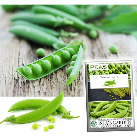 Tendersweet Snap Pea Seeds, 25+ Heirloom Seeds Per Packet, Non GMO Seeds, Botanical Name: Pisum sativum