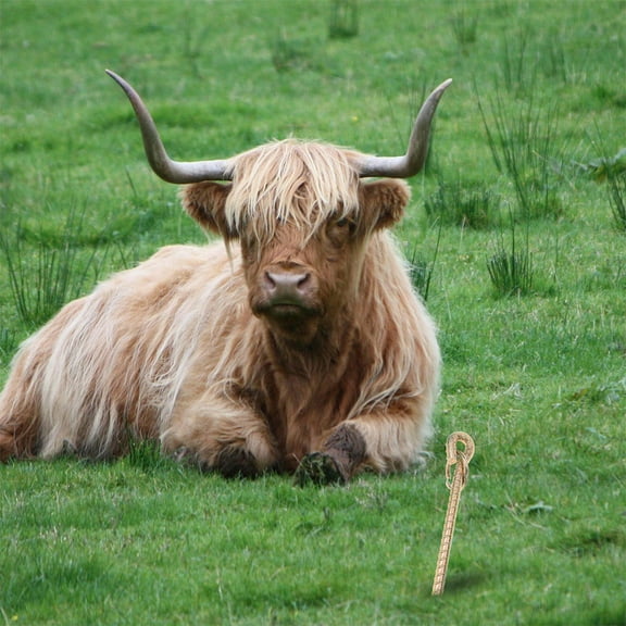 UPKOCH Dog Tie Out Stake Iron 1Pack Yard Stakes For Pet Containment