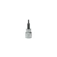 thumbnail image 1 of Teng Tools 3/8 Inch Drive Tamper Proof Torx TPX Chrome Vanadium Sockets, 1 of 2