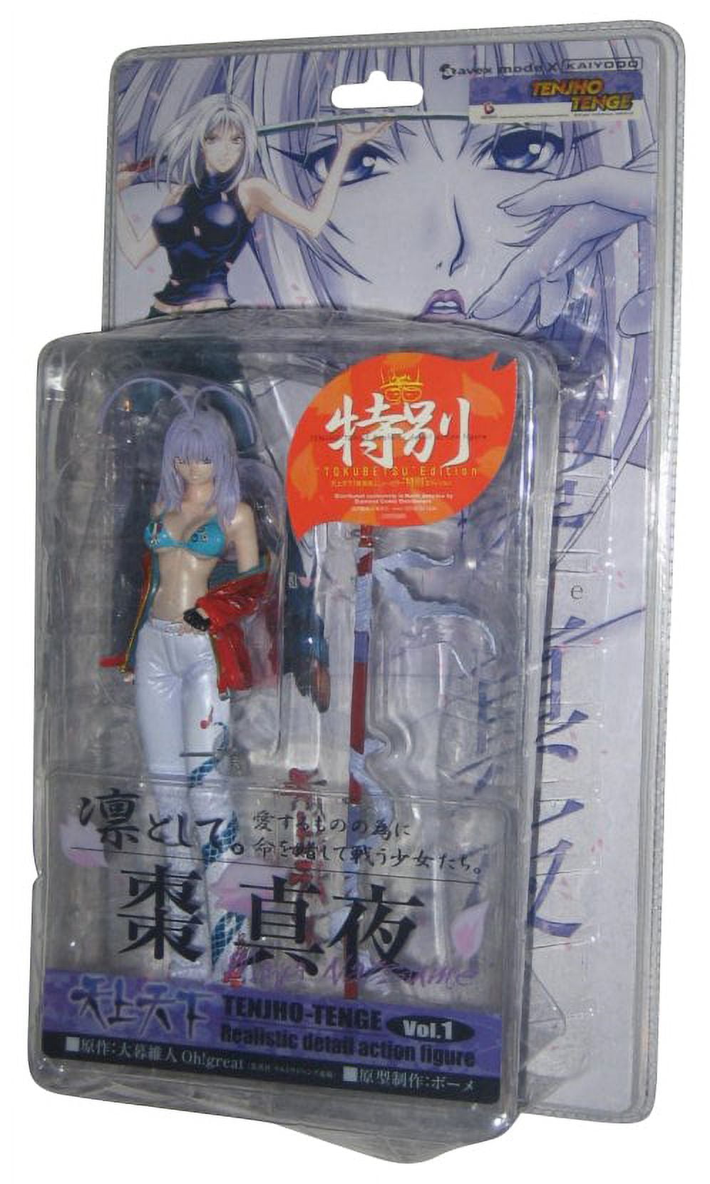 Tenjou Tenge Figure Series Part 2: Maya Natsume - My Anime Shelf