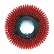Scrub Brush,Machine Size 18,PK2 4036134