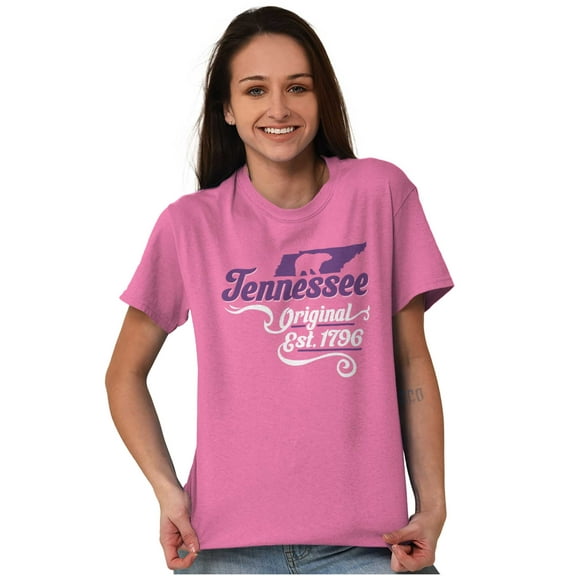 Tennessee Beat State Shape Filagree Women's Plus Size Graphic Tee Brisco Brands 5X