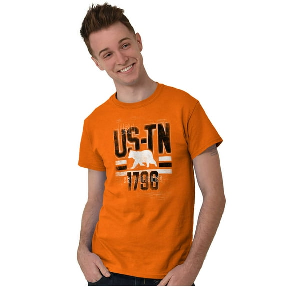 Tennessee Blackbear Cool Distressed Men's Graphic T Shirt Tees Brisco Brands L