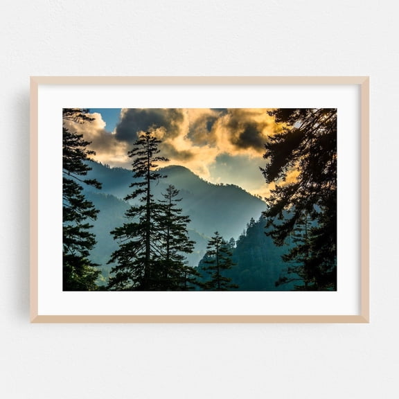 Tennessee Forest Nature Landscape Mountain Scenic Fine Sunset Autumn Photography Poster Unframed Paper Print