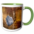 thumbnail image 1 of 3drose, Tennessee, Great Smoky Mountain Np, Autumn Reflections., 15oz Two-tone Green Mug, 1 of 6