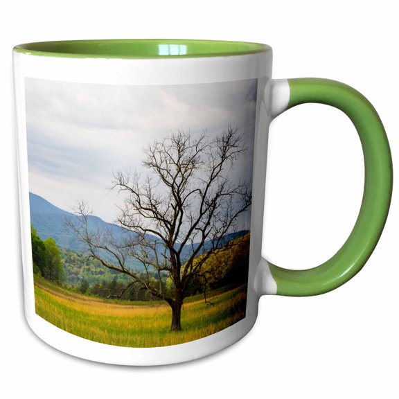 3drose, Tennessee. Lone Tree in Field at Cades Cove., 11oz Two-tone Green Mug