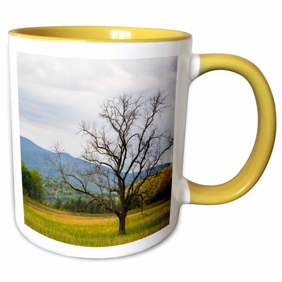 3drose, Tennessee. Lone Tree in Field at Cades Cove., 11oz Two-tone Yellow Mug