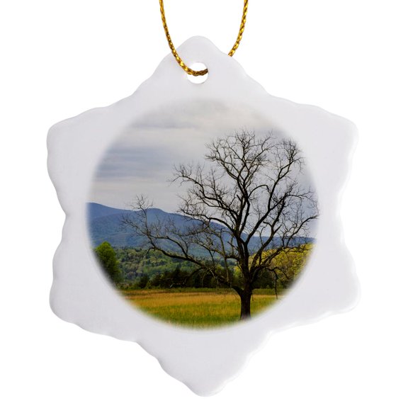 3drose, Tennessee. Lone Tree in Field at Cades Cove., 3 inch Snowflake Porcelain Ornament