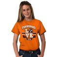 thumbnail image 1 of Tennessee Love TN Pride State Flag Women's Plus Size Graphic Tee Brisco Brands 2X, 1 of 3