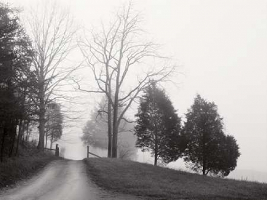 Tennessee Morning Canvas Art - Monte Nagler (22 x 28)