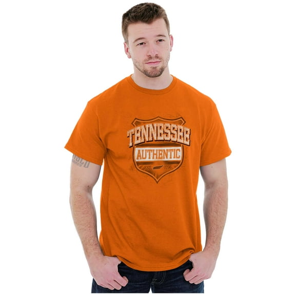 Tennessee Student Pride Cool Gameday Men's Graphic T Shirt Tees Brisco Brands S