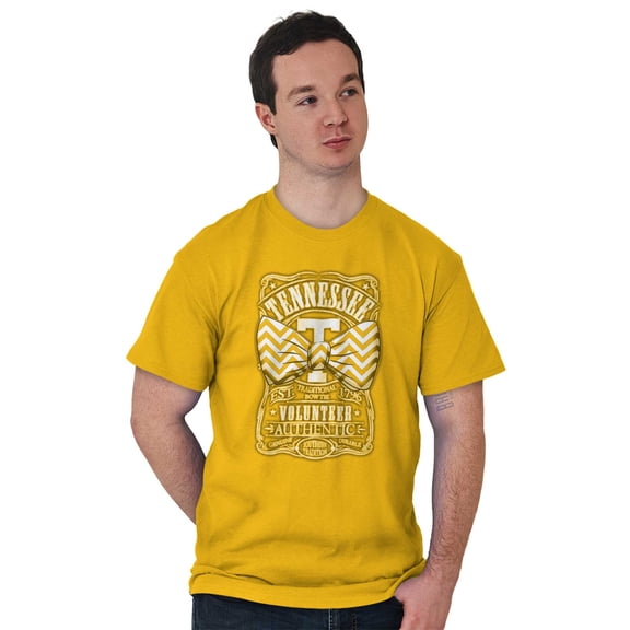 Tennessee TN Southern State Tradition Men's Graphic T Shirt Tees Brisco Brands L