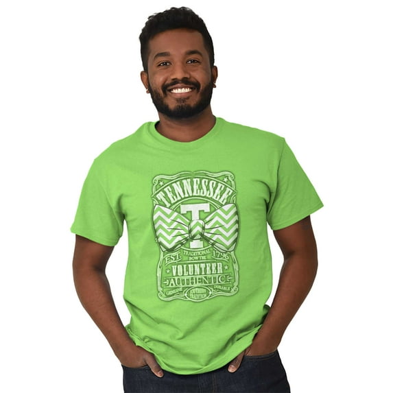 Tennessee TN Southern State Tradition Men's Graphic T Shirt Tees Brisco Brands S