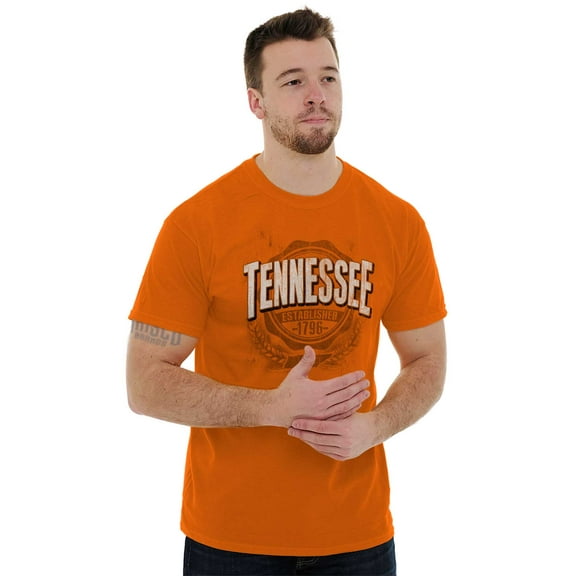 Tennessee TN Student Campus Pride Plus Size Crewneck Graphic Tee Shirt Brisco Brands 3X