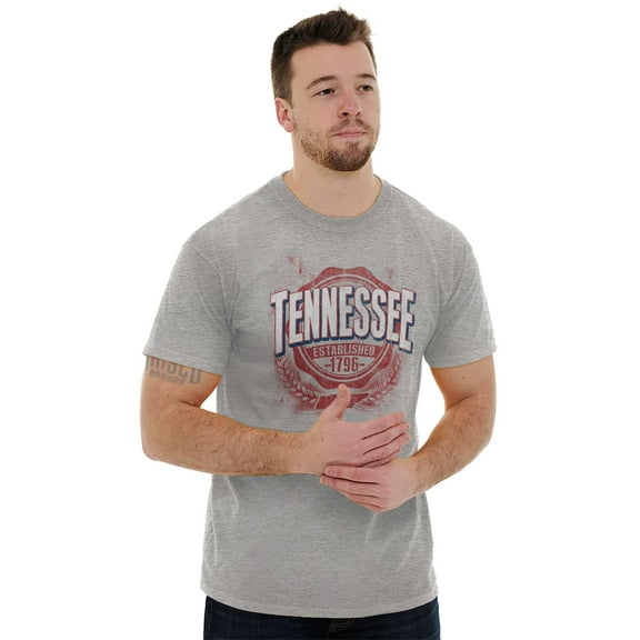 Tennessee TN Student Campus Pride Plus Size Crewneck Graphic Tee Shirt Brisco Brands 3X
