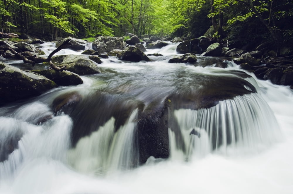 Tennessee United States Of America Curved Cascade On The Middle Prong River In The Great Smokey Mountains National Park Canvas Art - Natural Selection Robert Cable Design Pics (19 x 12)