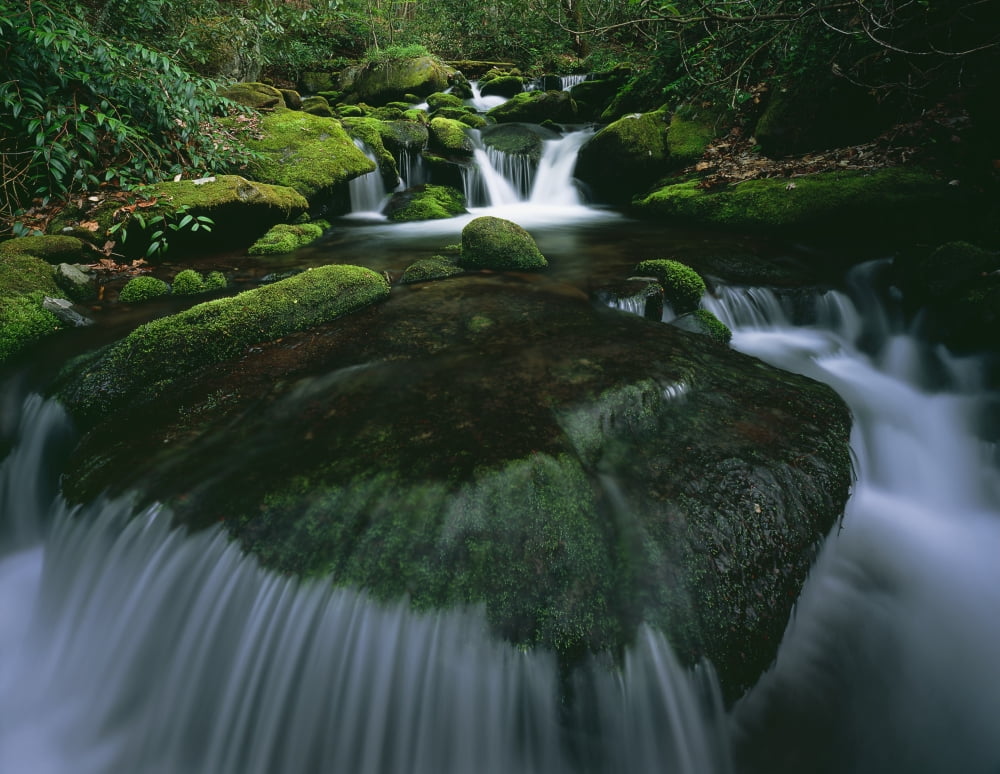 Tennessee United States Of America Moss And Curved Cascade In The Roaring Fork River In Great Smoky Mountains National Park Canvas Art - Natural Selection Robert Cable Design Pics (34 x 26)