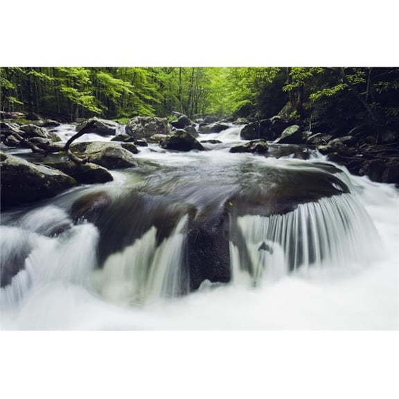 Tennessee United States of America - Curved Cascade on the Middle Prong River In the Great Smokey Mountains National Par Poster Print - 19 x 12