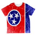 thumbnail image 1 of Tennessee Vintage Distressed State Flag All Over Toddler T Shirt Multi 6T, 1 of 2