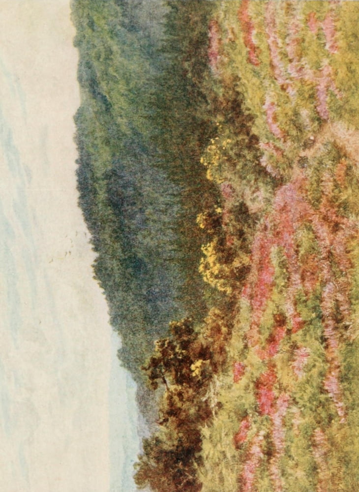 Tennysons Woods Canvas Art - Helen Allingham (18 x 24)
