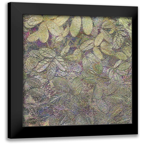 Tenoever, William 12x12 Black Modern Framed Museum Art Print Titled - Flora Square 1d